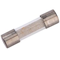 Fast Acting Fine Fuse 10 A
