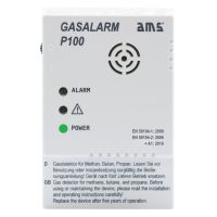 Gas Alarm P100 without Switch Outlet