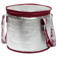 Cool Bag with Ice Pack